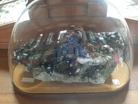 M 01521
<br/>
<br/>
<em></em>